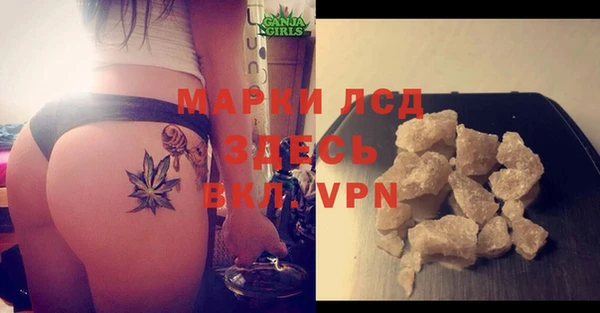 спиды Арсеньев