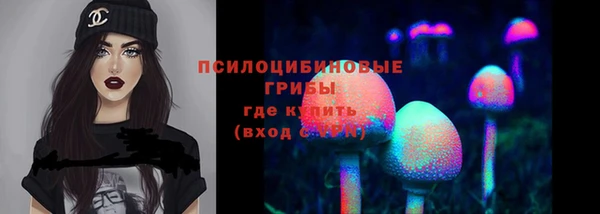 спиды Аркадак