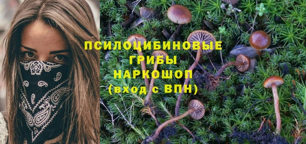 спиды Аркадак